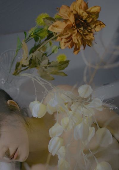 何成体统_1080P动漫在线观看